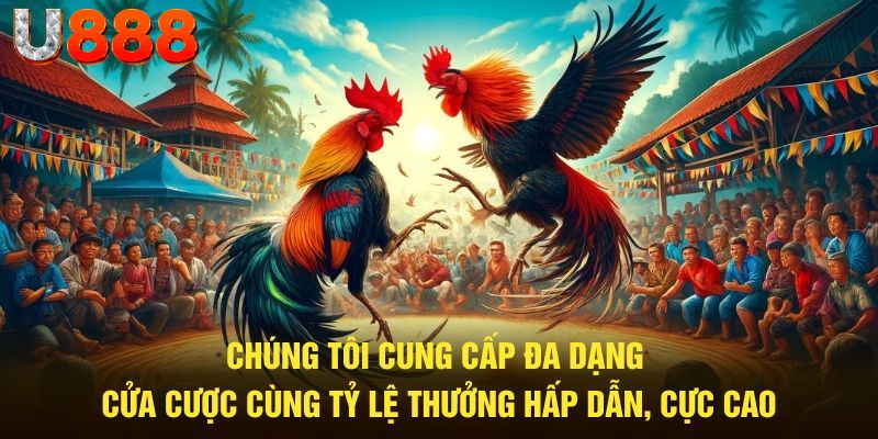 U888 đa dạng cửa cược cùng tỷ lệ thưởng hấp dẫn, cực cao