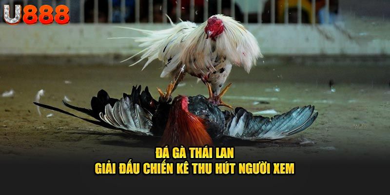 Mỗi trận có đến 3 hiệp thi đấu chính 