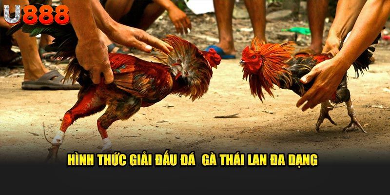 Nhận định kết quả giải đấu qua phong độ vào sân của chúng 