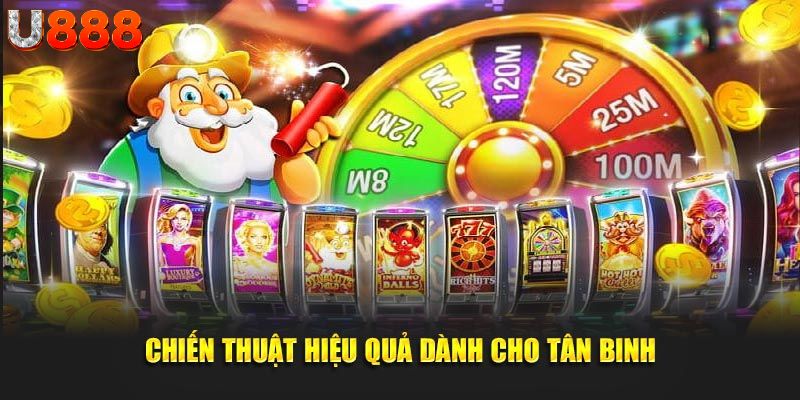 Các chiến lược dành cho tân binh giúp tăng cơ hội thắng